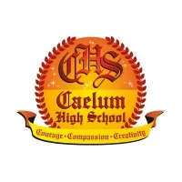 Caelum High School