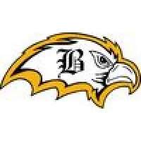 Brownsville Area High School