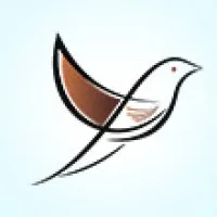 Volga Tigris Digital Marketing Agency