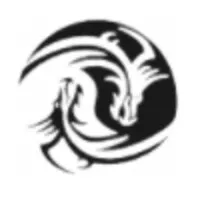 Innovative Dragon Group Innovative Dragon Group