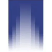 Gutierrez Madariaga, CPA P.A.