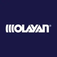 Olayan Financing Company
