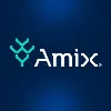 AMIX Serviços de Informática AMIX Serviços de Informática
