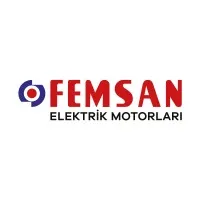 Femsan Electric Motors