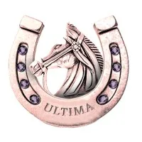 Ultima Racing Group