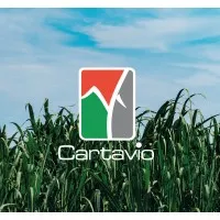 CARTAVIO S.A.A.