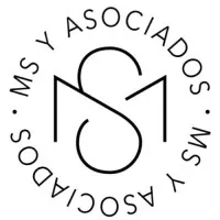 MS y Asociados MS y Asociados