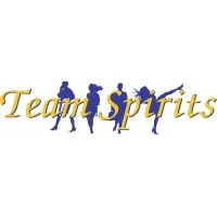 Team Spirits Team Spirits