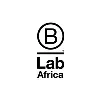 B Lab Africa B Lab Africa