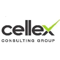CellEx Consulting Group
