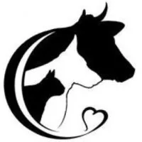 Watertown Animal Hospital