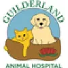 Guilderland Animal Hospital