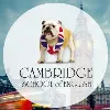 Cambridge School of English Sp. z o.o. Cambridge School of English Sp. z o.o.
