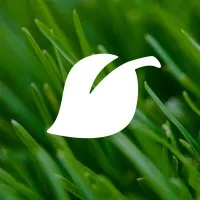 Lawn Love Lawn Care