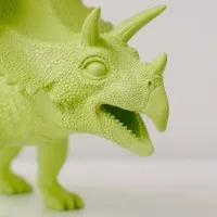 Green Dinosaur, Inc. Green Dinosaur, Inc.