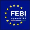 Federation of European Business in India