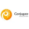 Conjugate Consulting