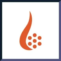 Perdaman Global Services
