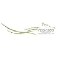 Pegasus Corporate Solutions Pvt Ltd