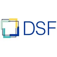 DSF Consulting