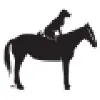 Dog on a Horse Dog on a Horse