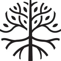 Root & Bloom Therapy