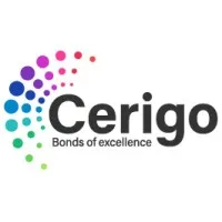 Cerigo Additives Private Limited