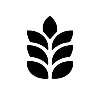 Biome/Build Biome/Build
