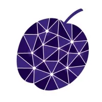 Purple Plum Consulting