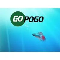GOPOGO, INC.