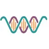 Well Pharma Medical Research, Corp.