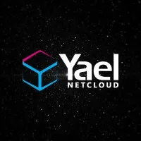 Yael NetCloud - Premier NetSuite Partner