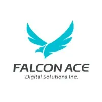 Falcon Ace Digital Solutions