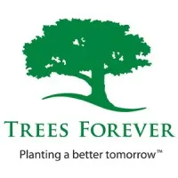 Trees Forever Trees Forever