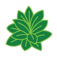 Natural Services | Landscaping | Concreting | Nursery | Maintenance | Natural Services | Landscaping | Concreting | Nursery | Maintenance |