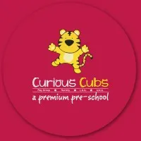 Curious Cubs Preschool