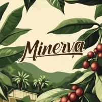 Café Minerva Ecuador