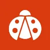 Ladybugz Interactive Agency, Boston MA Ladybugz Interactive Agency, Boston MA
