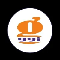 Global Group Of Institutions 337