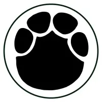 BOLD ELEPHANT PRIVATE LIMITED