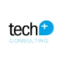 Tech Plus Consulting LLC