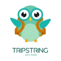 Trip String