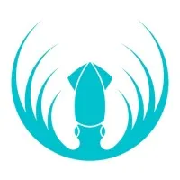 Squid Academy Ltd.