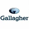 Gallagher Reinsurance Brokers Limited Gallagher Reinsurance Brokers Limited