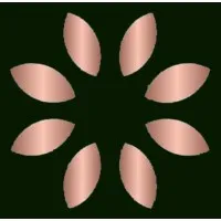 DSI Interiors Pvt. Ltd.