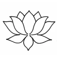 Advance Physical Therapy Advance Physical Therapy