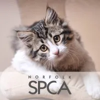 Norfolk SPCA