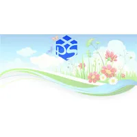 Professional Systems of Pinellas, Inc.