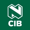Nedbank Corporate and Investment Banking Nedbank Corporate and Investment Banking
