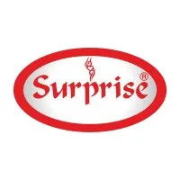 Surprise Furniture